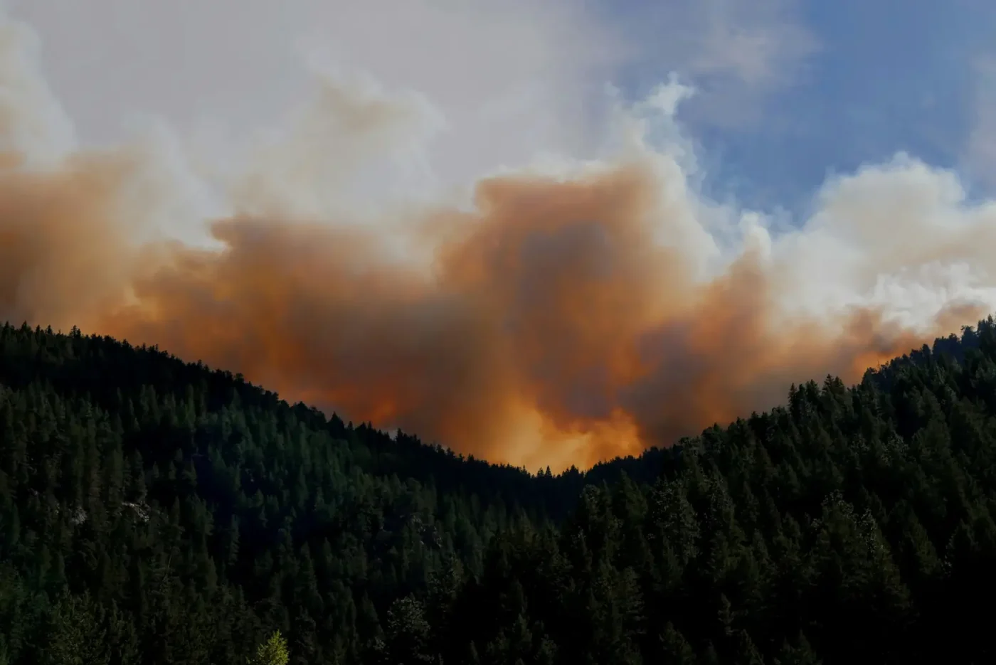 How to Prepare for and Stay Safe During Wildfire Smoke Season in Western Washington