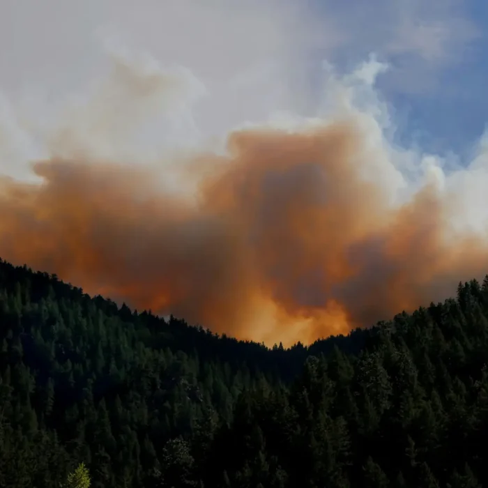 How to Prepare for and Stay Safe During Wildfire Smoke Season in Western Washington