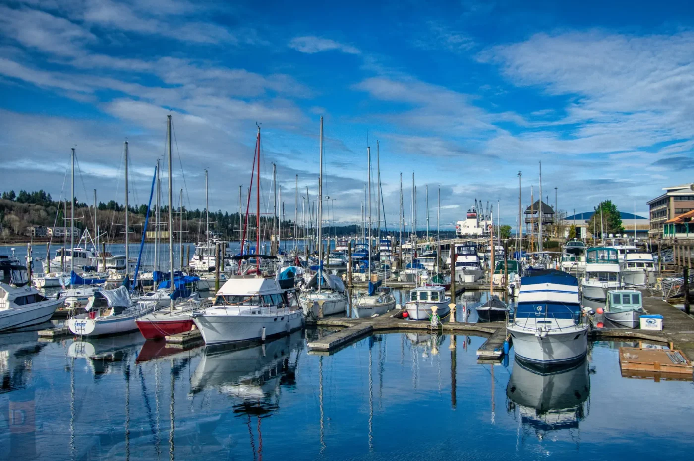 Summer in Thurston County: Healthy Ways to Get Outside, Explore, and Connect