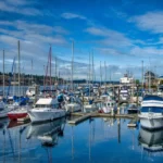Summer in Thurston County: Healthy Ways to Get Outside, Explore, and Connect