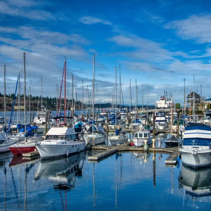Summer in Thurston County: Healthy Ways to Get Outside, Explore, and Connect